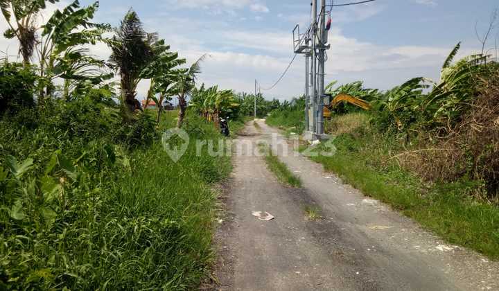 Land for Rent in Prime Location, Seseh Beach Canggu Bali