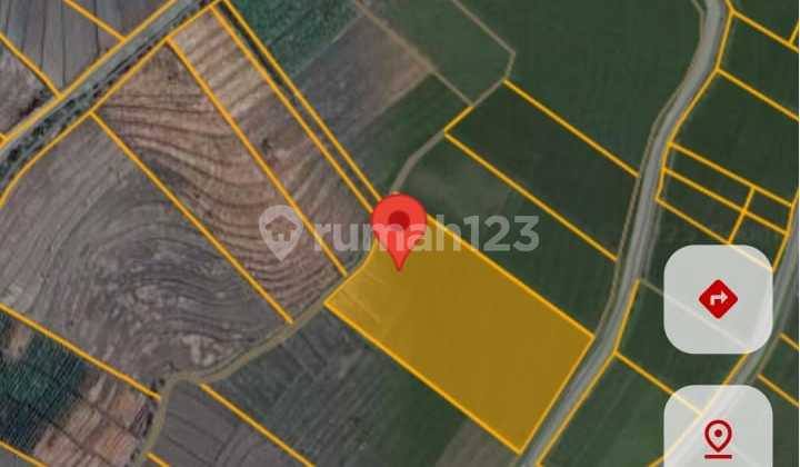 Cheap Land in Kedungu Tabanan - Bali