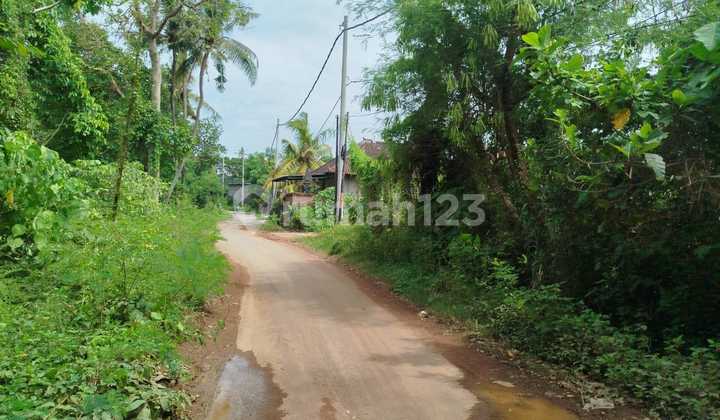 Tanah Murah meriah di Keramas Gianyar - Bali Tanah Murah meriah di Keramas Gianyar - Bali