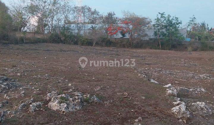 Super Cheap Land in Jimbaran Bali 2