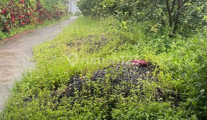 Tanah kebun Produktif di Prime location Kintamani Bangli - Bali 1