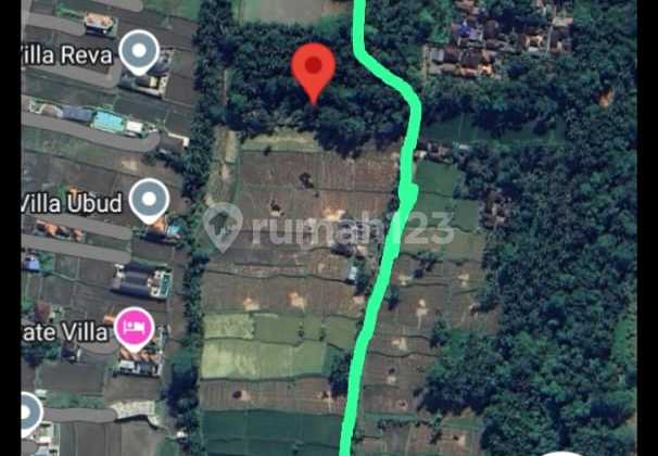 Flat lease land with Eternal Rice Field View in Pejeng, Ubud - Bali