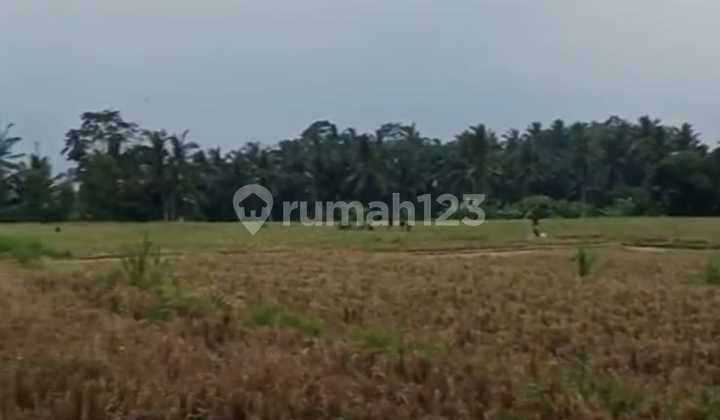 Leased Land with Exotic View in Bedulu - Ubud - Bali Leased Land with Exotic View in Bedulu - Ubud - Bali