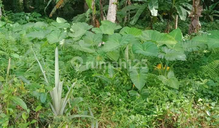 Affordable Lease Land in a safe zone for building in Ubud, Bali