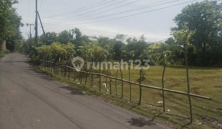 Tanah jual di Prime Location Balangan -Ungasan - Kabupaten Badung - Bali Tanah jual di Prime Location Balangan -Ungasan - Kabupaten Badung - Bali