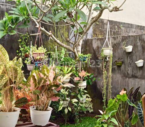 Rumah Murah Super Keren di Pering Gianyar 1