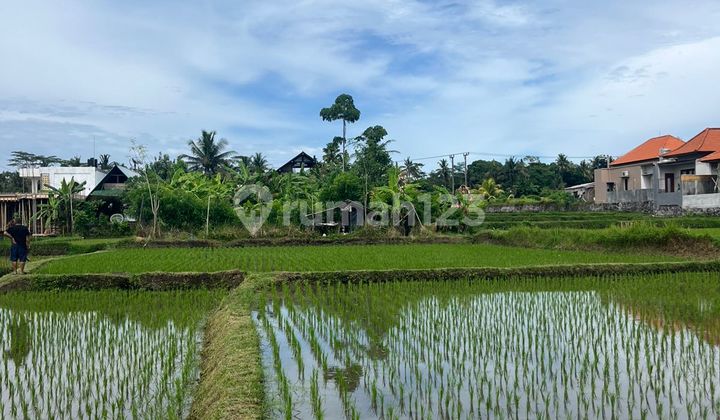 Scenic Land for Rent in Pejeng - Ubud - Gianyar - Bali