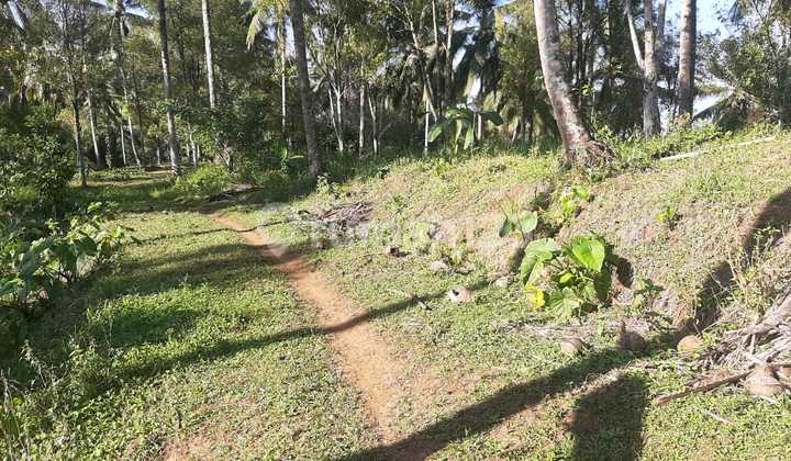Land For Long Lease At Tabanan Regency Bali Land For Long Lease At Tabanan Regency Bali