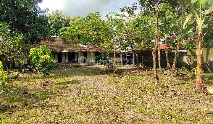 Tanah Murah Plumbon Kartasura Solo 7