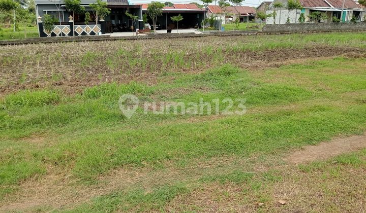Tanah Siap Bangun Lokasi Bendosari Sukoharjo Tanah Siap Bangun Lokasi Bendosari Sukoharjo