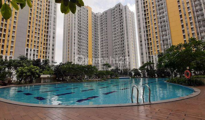 Disewa Cepat Apartemen View Pool The Springlake Summarecon Bekasi 2