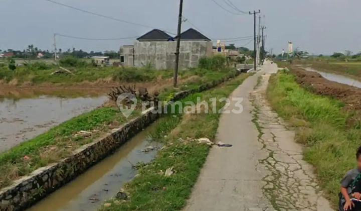 Tanah Sawah Di Tambelang Bekasi