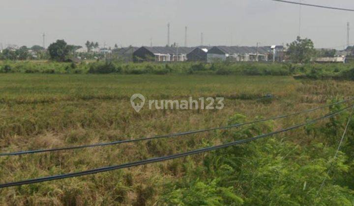 Tanah Murah Jalan Raya Perjuangan Bekasi Utara  2