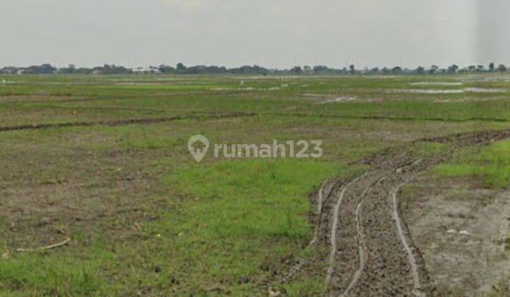 Dijual Cepat Tanah di Kampung Pembetokan Sukamakmur Bekasi  1