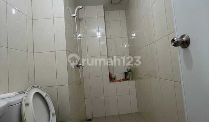 The Springlake Tower Azolla Apartments The Springlake Tower Azolla Apartments