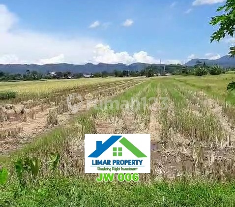 Kavling Sawah Luas Pinggir Jalan Harga Bagus di Berbah, Sleman