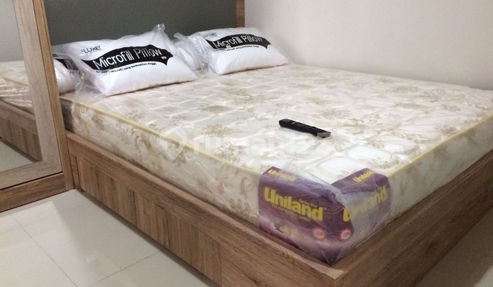 Comfortable Well-Maintained Fully Furnished Apartment in Oak Tower, Pulogadung 2