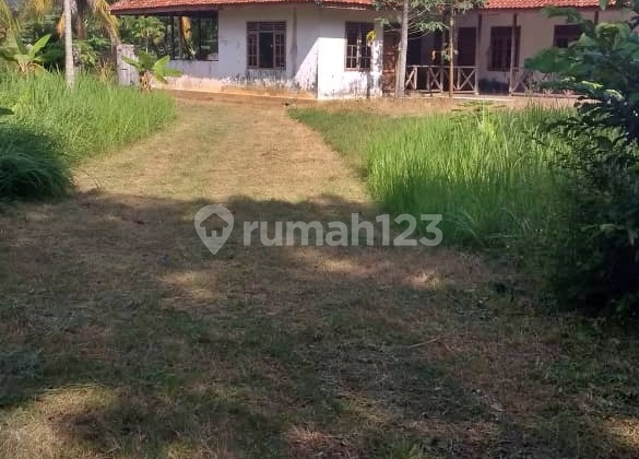 Tanah Luas Pinggir Jalan Raya Hadap Pantai Harga Bagus di Carita