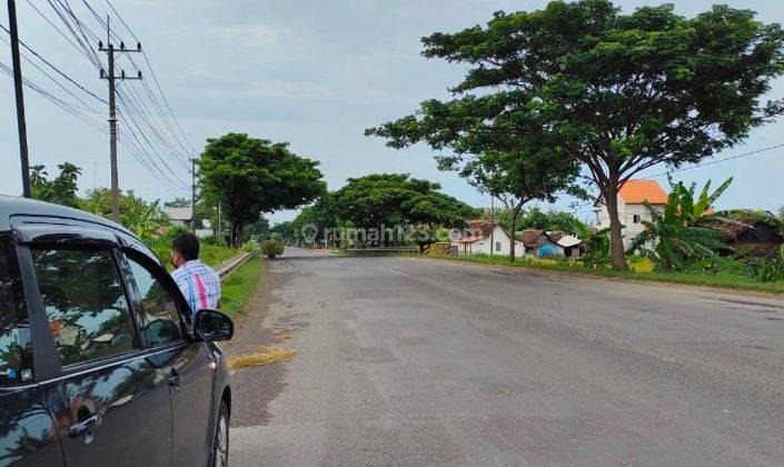 Dijual Tanah Di Pereng, Di 
pereng, Jenu, Tuban                        Jual Tanah Di Pereng, Jenu , Tuban                                                                       2