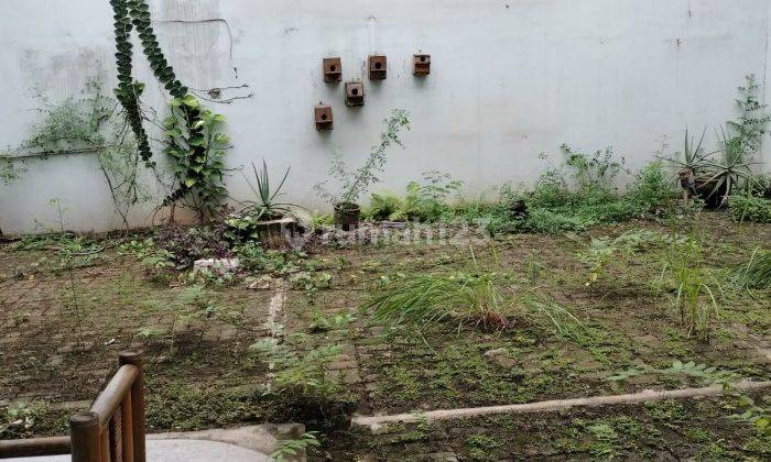 Decc. Rumah Disewakan di Pluit Karang Permai Jakarta Utara 3