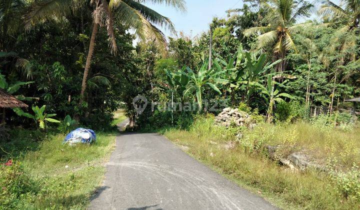 Tanah Kapling Di Argomulyo Jl Wates Km 9 Sedayu Bantul Yogyakarta 1