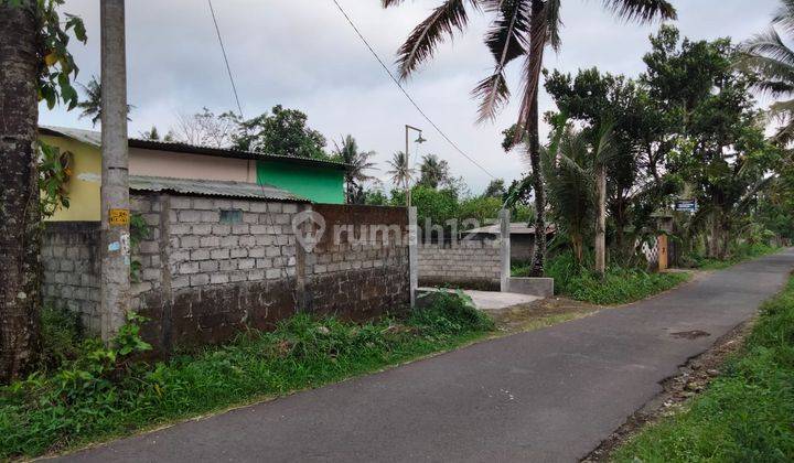 Tanah Gudang Peternakan Ayam di Wedomartani Sleman Yogyakarta 1