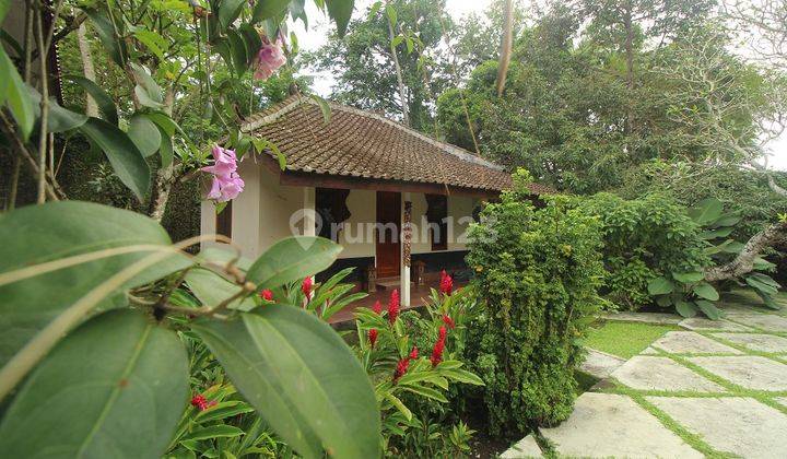 Rumah Villa Dengan Kolam Renang Di Jogja Bagian Utara Lokasi Asri Dan Strategis, Pakem, Sleman 2