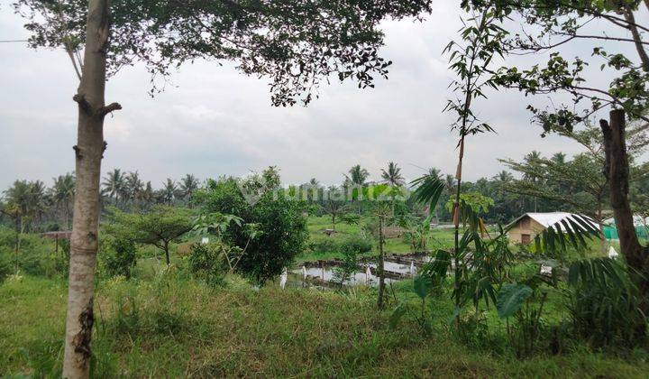 Tanah Pekarangan di Jalan Kaliurang Km 18 Pakem Sleman Yogyakarta 2