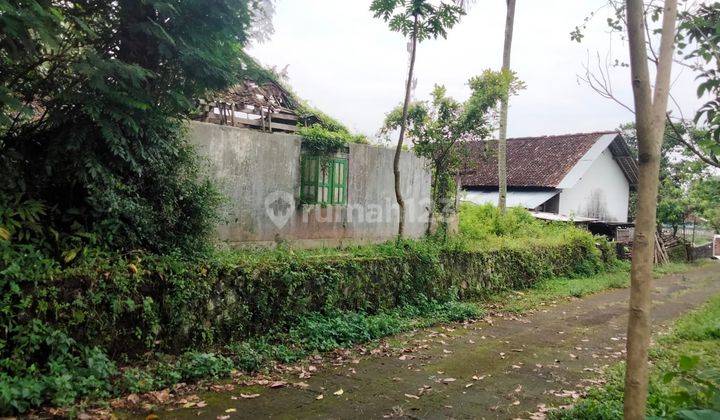 Tanah Pekarangan di Jalan Kaliurang Km 18 Pakem Sleman Yogyakarta 6