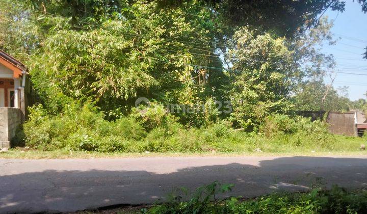 Tanah Pekarangan di Jl Boyong Merapi Harjobinangun,pakem Sleman 2