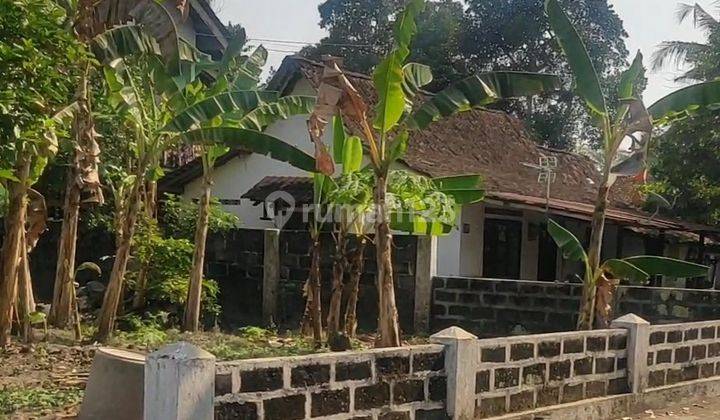 Tanah Pekarangan 222 Meter Persegi Cocok Untuk Rumah Tinggal Di Triharjo Sleman 2