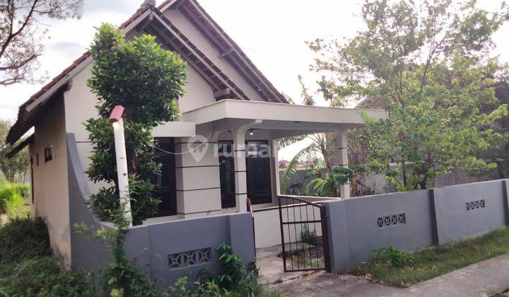 Rumah Dengan Pekarangan Luas 205 Meter Persegi Lokasi Sitimulyo Piyungan Bantul  1