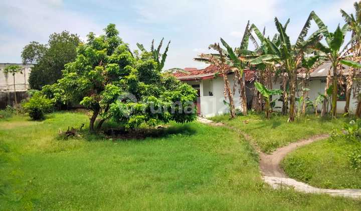 Village Land 1912 Building Bonus in Panggungharjo Bantul Village Land 1912 Building Bonus in Panggungharjo Bantul