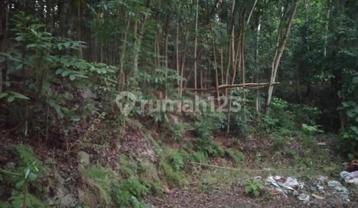 Tanah Luas 2000 Meter Persegi Lokasi Argorejo Sedayu Sleman Tanah Luas 2000 Meter Persegi Lokasi Argorejo Sedayu Sleman