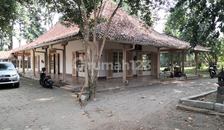 Tanah  Luas di Pogung Baru jl kaliurang km 5 dekat kampus UGM Yogyakarta