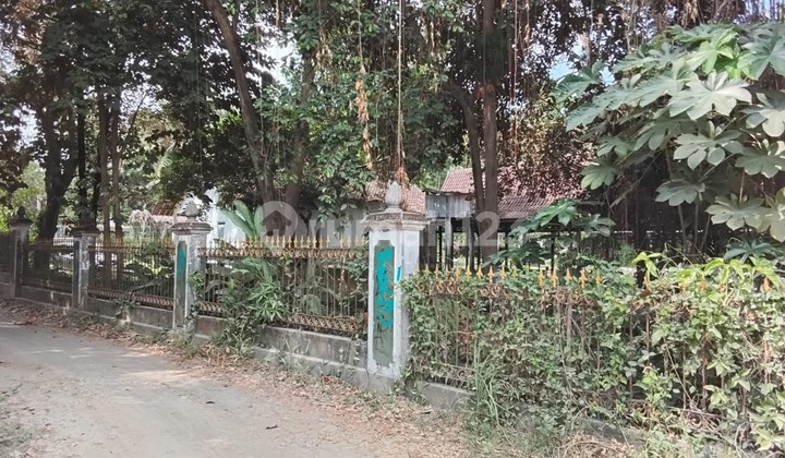 Tanah Pekarangan Dekat Sungai di Jl Purbaya Sumberadi Mlati Sleman Yogyakarta Tanah Pekarangan Dekat Sungai di Jl Purbaya Sumberadi Mlati Sleman Yogyakarta