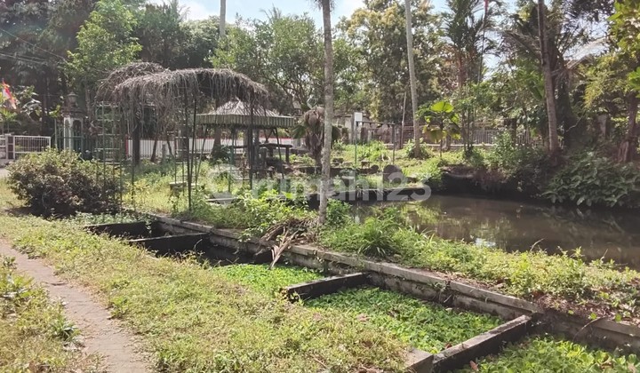 Tanah Pekarangan Dekat Sungai di Jl Purbaya Sumberadi Mlati Sleman Yogyakarta