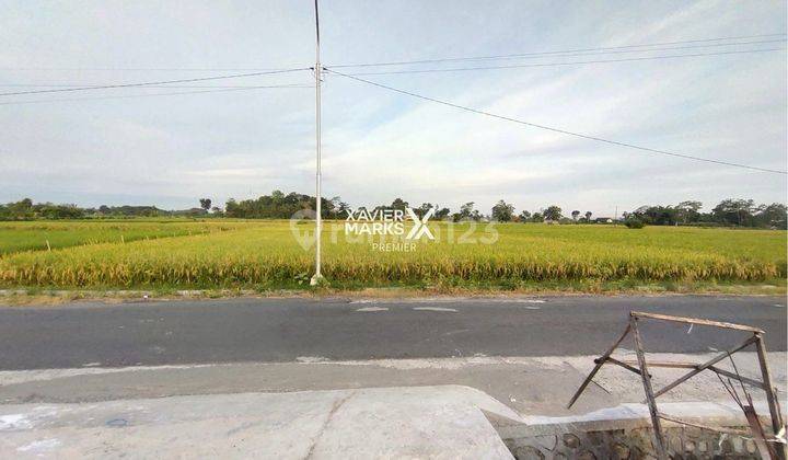 Tanah Prospektif Dekat Kantor Bupati Kanigoro Blitar 1