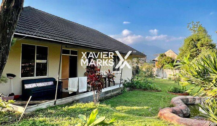 Dijual Rumah Asri Lahan Luas di Metro Batu Malang 2