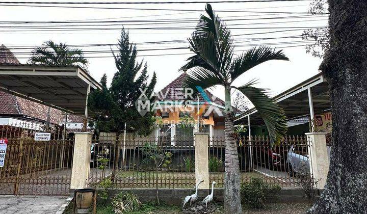 Classic House Nearby Ijen Boulevard In Malang 1