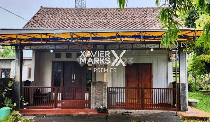 Rumah Asri Halaman Luas Murah di Kejapanan Gempol Pasuruan 1