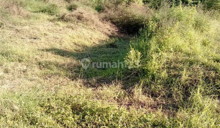 Tanah Prospektif Buat Bangun Villa Dekat Alun Alun, Batu, Malang