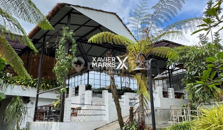 Ijua Cafe Aktif Estetik View Alam Sejuk di Bumiaji Batu Ijua Cafe Aktif Estetik View Alam Sejuk di Bumiaji Batu