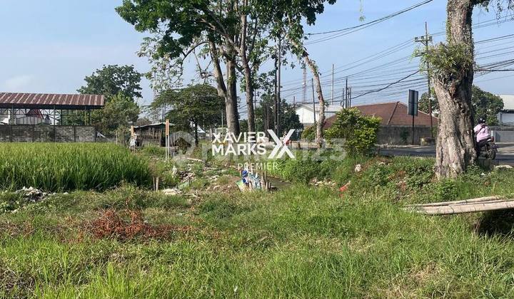 Tanah Cocok Untuk Usaha di Kebonagung Pakisaji Malang Hot Listing Tanah Cocok Untuk Usaha di Kebonagung Pakisaji Malang Hot Listing