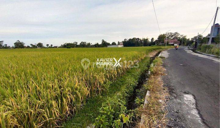 Tanah Prospektif Dekat Kantor Bupati Kanigoro Blitar 2