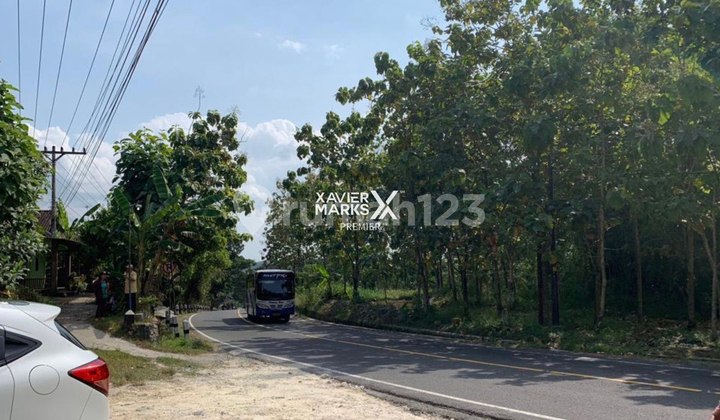 Tanah Strategis Komersil Lokasi Segitia Emas Wisata Yogyakarta Tanah Strategis Komersil Lokasi Segitia Emas Wisata Yogyakarta
