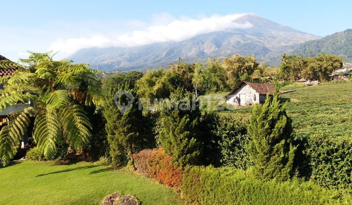 Villa with View of Alam Asri, Comfortable with Spacious Garden in Trawas, Mojokerto