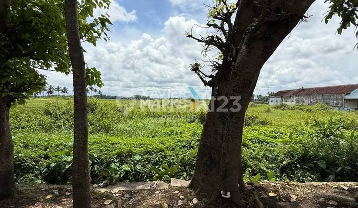 Tanah Strategis High Value Plot di Mojosari Kepanjen Malang Tanah Strategis High Value Plot di Mojosari Kepanjen Malang