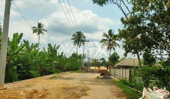 Land 15631 m2 in Pakis Malang Can Be Used For Housing or Warehouse
