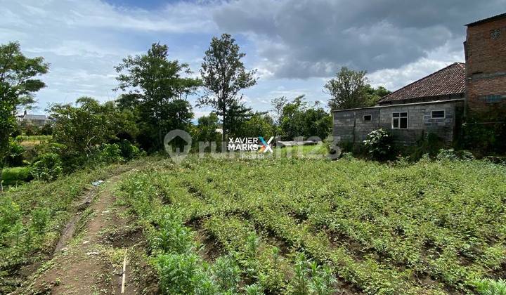 For Sale Tourist Area Land Investment Prospect in Sisir Batu For Sale Tourist Area Land Investment Prospect in Sisir Batu